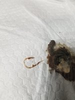 20180913_044905.jpg