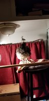2018-09-12 21.02.54.jpg