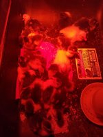 20180828_214806.jpg