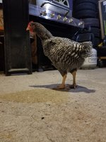 20180810_210954.jpg