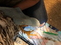 Foot 1.jpg