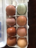 4169C7DF-4572-438B-9BEC-C16819470D1B.jpeg