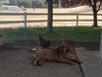 20180914_172833.jpg