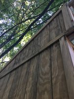 EA867E20-624A-49F3-9D57-2C665071F694.jpeg