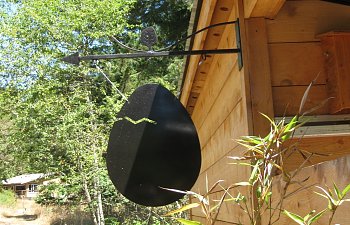 IMG_4303.jpg