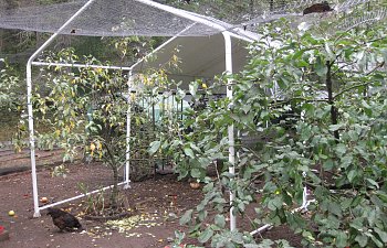 IMG_8806.JPG