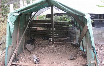 IMG_8810.jpg