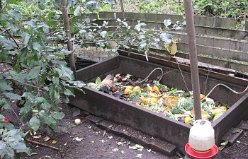 IMG_8812.jpg