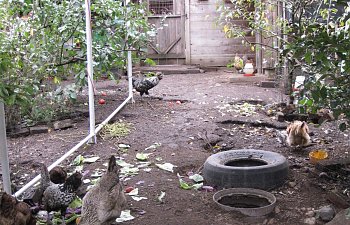IMG_8818.jpg