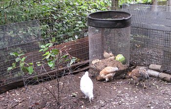 IMG_8816.jpg