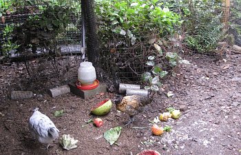 IMG_8817.jpg
