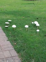20180915_181420.jpg