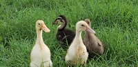 20180907_190548.jpg