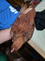 IMG_20180915_191131.jpg