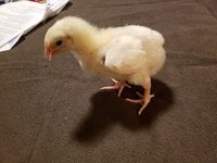 20180915_180109.jpg