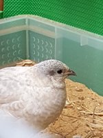 20180916_111405.jpg