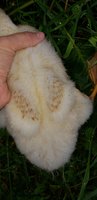 20180916_093202.jpg