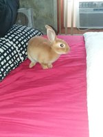 20180913_122045.jpg