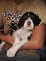 20180909_130428.jpg