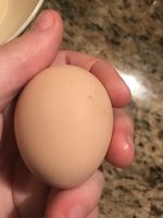 08B91E41-BA35-424C-BC25-9C935CD8F6F1.jpeg