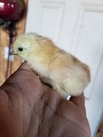 20180917_090311.jpg