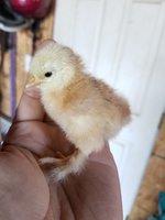 20180917_090344.jpg