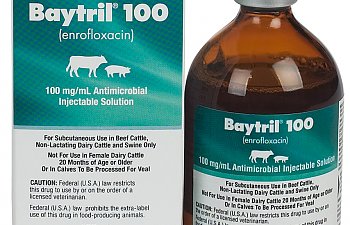 Baytril (Enrofloxacin) Sources