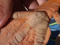 20180917_171330.jpg