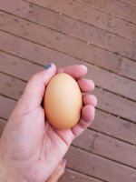 20180915_112955.jpg