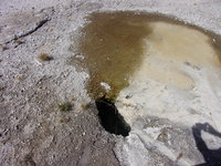 100_1386.JPG