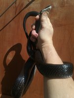 20180917_145027.jpg
