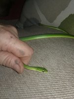 20180914_194033.jpg