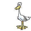 duckquack.gif
