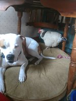 IMG_20180917_101638289.jpg