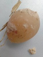 IMG_20180917_091428417.jpg