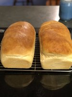 378FE42E-094A-46AD-A49E-47A69106CED2.jpeg