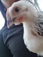 20180919_173330.jpg