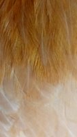 IMG-20180919-WA0002.jpg