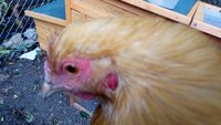 IMG-20180919-WA0003.jpg