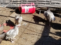 180918_104034.jpg