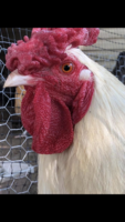 7531D212-EBCB-4B67-99FA-7F88A86ED2E3.png 7531D212-EBCB-4B67-99FA-7F88A86ED2E3.png