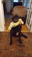 20180912_170015.jpg 20180912_170015.jpg