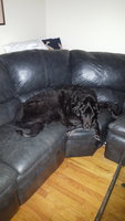 20180919_224433.jpg