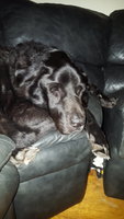 20180919_224443.jpg