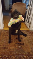 20180912_170021.jpg