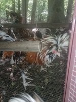 20180919_132545.jpg