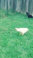 20180917_150532_Film3.jpg