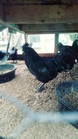 20180917_150805_Film3.jpg