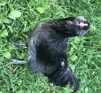 IMG_1564.JPG