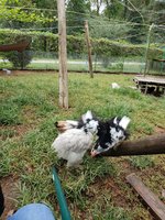 20180915_144941.jpg